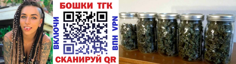 Виды наркотиков купить Злынка Кокаин  Кетамин  Гашиш  А ПВП  Псилоцибиновые грибы 