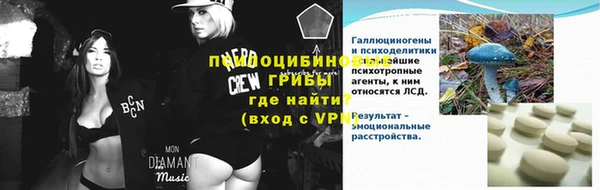 МДПВ Ельня