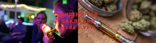 МДПВ Ельня