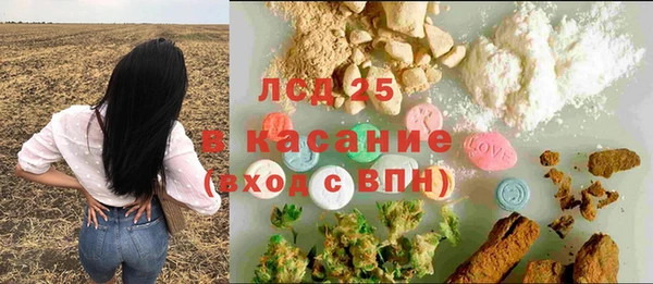 ALPHA PVP Елизово