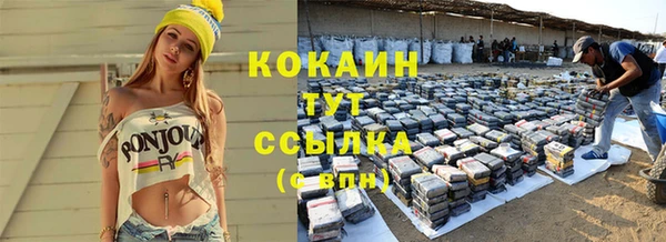ALPHA PVP Елизово
