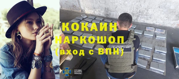 ALPHA PVP Елизово