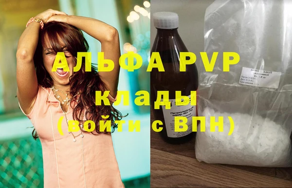 дмт Дмитров