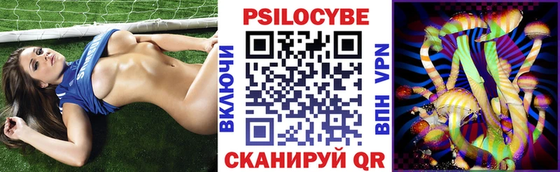 Галлюциногенные грибы MAGIC MUSHROOMS  KRAKEN ONION  Злынка  купить наркотики сайты 